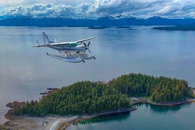 Waterfall Creek Brown Bear Viewing Juneau - What Sets This Tour Apart?