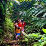 Waterfall, Rainforest, Chocolate Tour & Historical Sites - Frequently Asked Questions