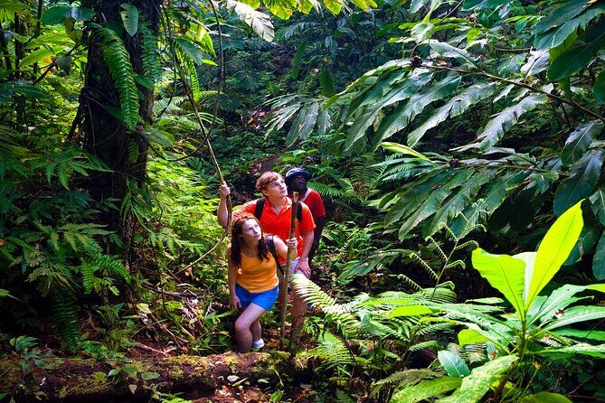 Waterfall, Rainforest, Chocolate Tour & Historical Sites - Frequently Asked Questions