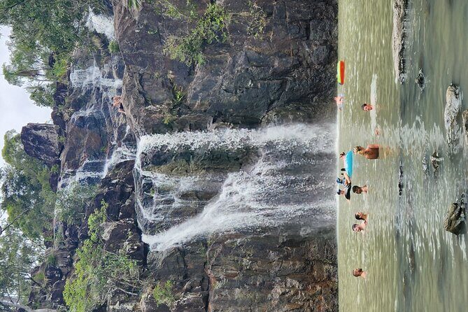 Waterfalls and Bushwalk Eco Adventure - Why This Tour Stands Out