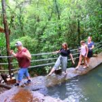 Waterfalls and Nature Tour - An In-Depth Look at the Waterfalls and Nature Tour