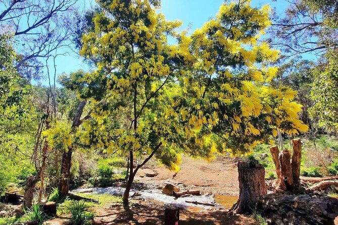 Waterfalls, Wildflowers & Wandoo Hiking Experience - Final Thoughts