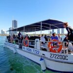 Wave Break Island Snorkel Tour on the Gold Coast - A Detailed Look at the Wave Break Island Snorkel Tour