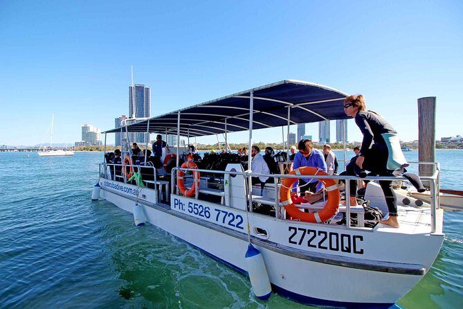 Wave Break Island Snorkel Tour on the Gold Coast - A Detailed Look at the Wave Break Island Snorkel Tour
