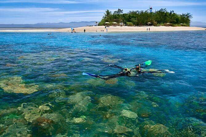 Wavedancer Low Isles Great Barrier Reef Sailing Cruise from Cairns - Final Thoughts: Is This Tour Right for You?