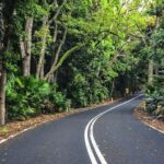 Waves Waterfalls and Wineries Full-Day Southern Highlands Private Tour - Detailed Review of the Waves, Waterfalls, and Wineries Tour
