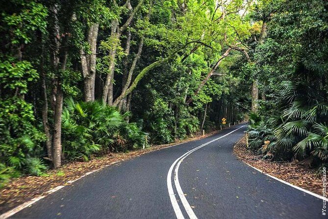 Waves Waterfalls and Wineries Full-Day Southern Highlands Private Tour - Detailed Review of the Waves, Waterfalls, and Wineries Tour