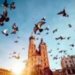 Wawel Castle & Cathedral Skip the Line Small Group Tour - Who Will Love This Tour?