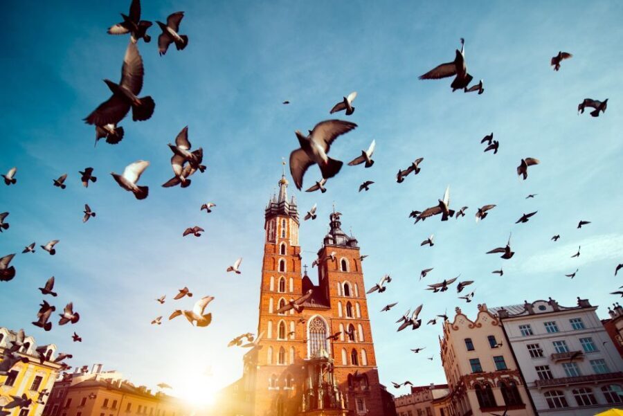 Wawel Castle & Cathedral Skip the Line Small Group Tour - Who Will Love This Tour?