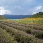 Weekend in Bulgaria - Transport, Value, and Practicalities