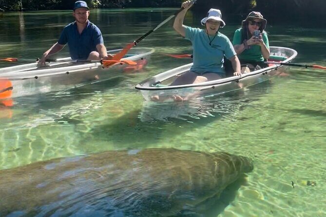 Weeki Wachee Clear Kayak Ecotours Manatee Season - November 14th-March 31st - An In-Depth Look at the Weeki Wachee Kayak Eco-Tour