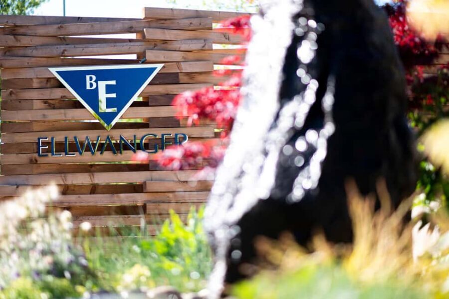 Weinstadt: 6-wine tasting with bread, water, and a discount on your favorite wine - A Closer Look at the Weingut Bernhard Ellwanger Experience
