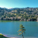 welcome to georgia discover together - Itinerary Breakdown