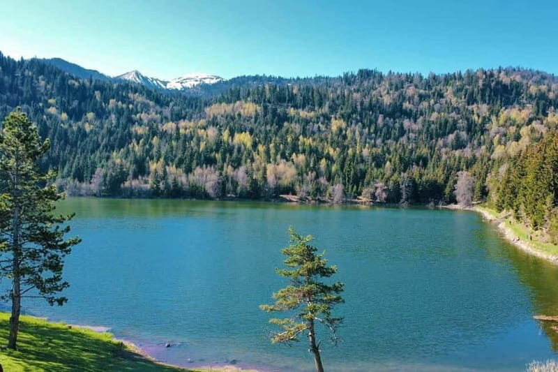 welcome to georgia discover together - Itinerary Breakdown