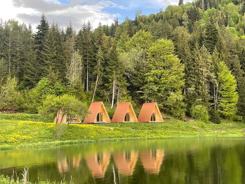 welcome to georgia discover together - In-Depth Breakdown of the Itinerary and Highlights