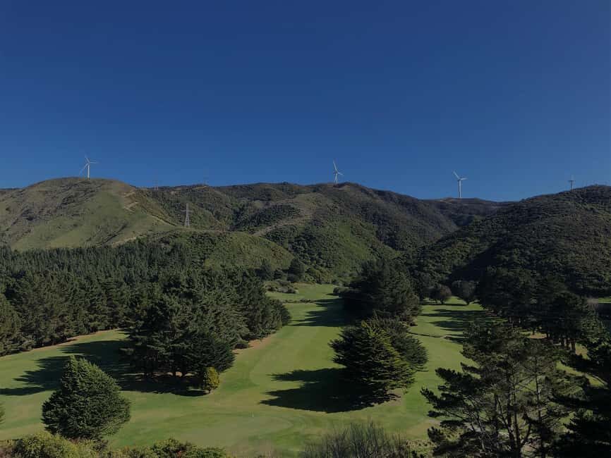 Wellington: 7-Day Lower North Island Golf Tour - What Makes This Tour Stand Out?