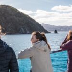 Wellington 90 minute Harbour Cruise - The Route and Sights