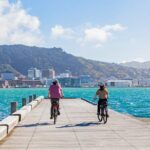 Wellington Bike Rental - In-Depth Review of Wellington Bike Rental