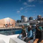 Wellington: Commentated Harbour Explorer tour - The Electric Ferry – Ika Rere