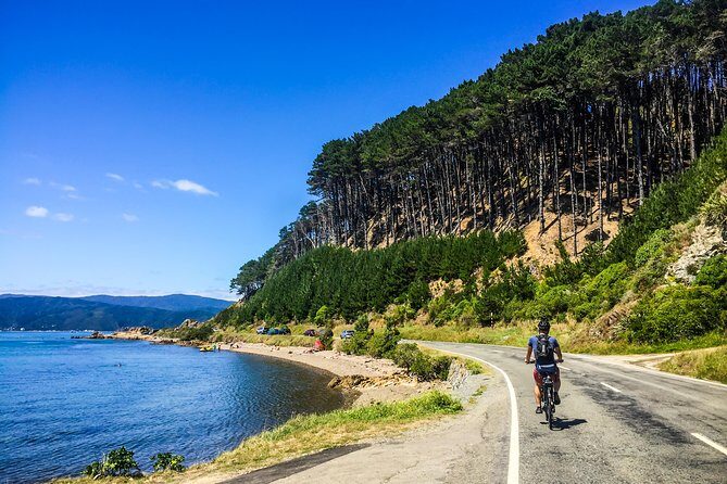 Wellington Electric Bike Rental - Itinerary and Routes