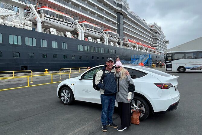 Wellington Full Day Private Tour in Electric Tesla SUV - Discovering Wellington’s Creative and Natural Sides