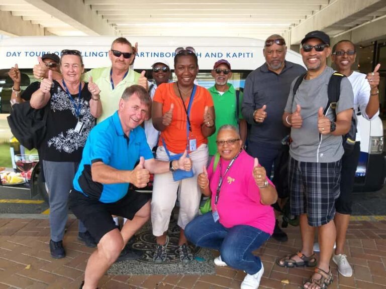 Wellington: Half-Day City Highlights Tour and Cable Car Ride - What We Think: The Value & Who It’s For