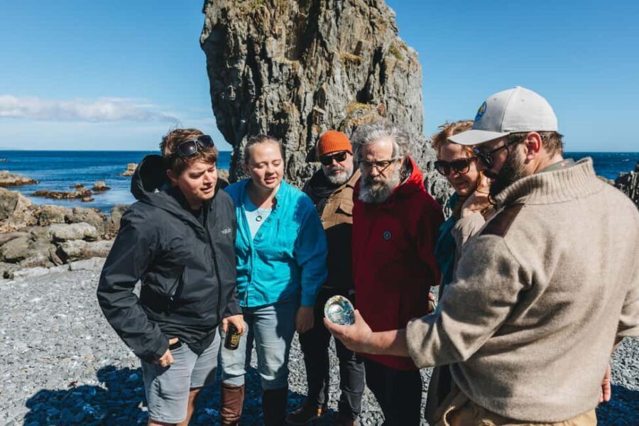 Wellington: Half Day Seal Coast Safari - Who Should Consider This Tour?