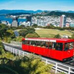Wellington: Highlights Tour with a Local Guide - Authentic Insights from Reviews