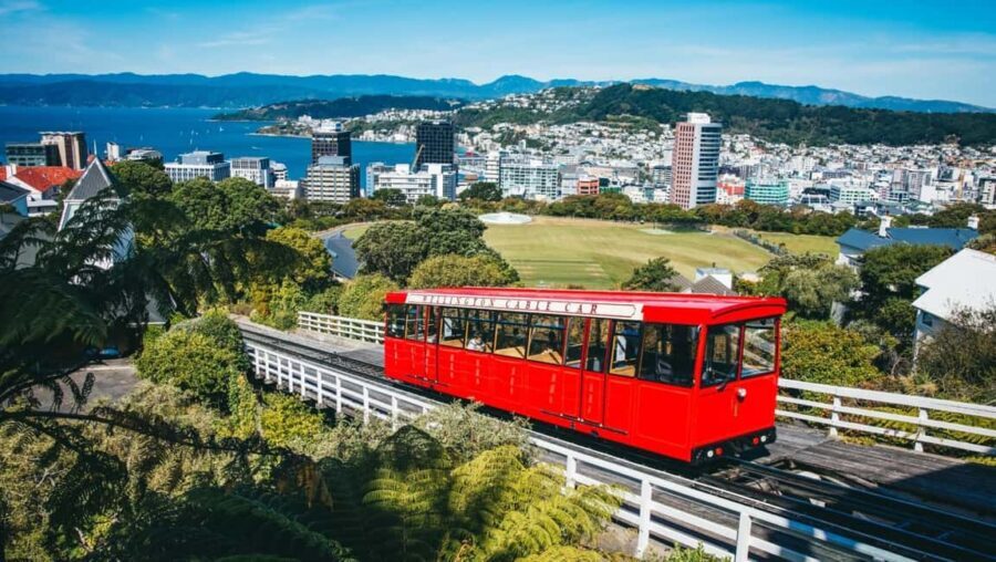 Wellington: Highlights Tour with a Local Guide - Authentic Insights from Reviews