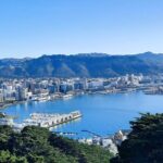 Wellington Movie Magic Private Tour - Whats Included and How It Adds Value