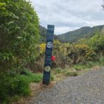 Wellington Native Bush Walking Tour - Final Thoughts on the Wellington Native Bush Walking Tour