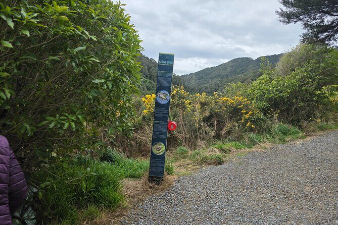 Wellington Native Bush Walking Tour - Final Thoughts on the Wellington Native Bush Walking Tour