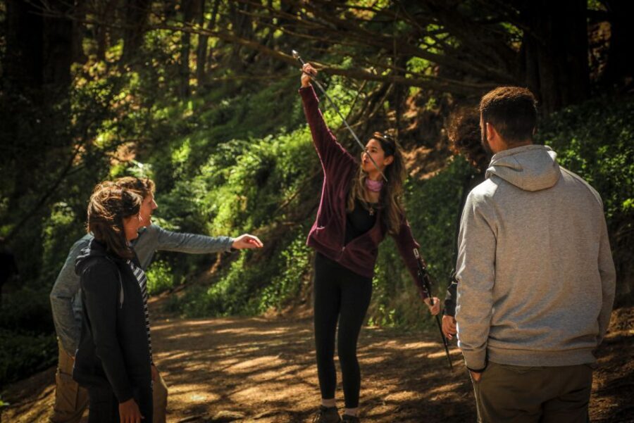 Wellington: Original LOTR Half-Day Experience with Weta - Why This Tour Is a Good Deal