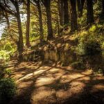 Wellington Private Highlight Fullday tour - Final Thoughts: Why This Tour Helps You Make the Most of Wellington