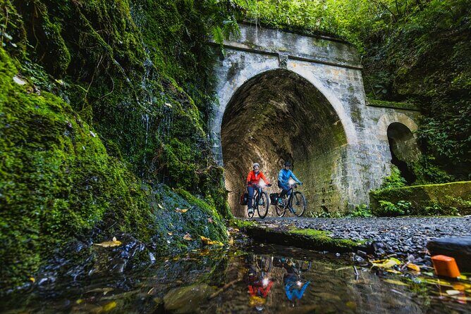 Wellington Remutaka Rail Trail eBike Cycle Tour - Why We Think This Tour Stands Out