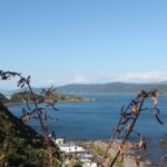 Wellington Scenic Full Day Tour - Authentic Highlights and Practical Insights