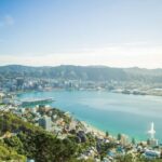 Wellington: Scenic Harbour Helicopter Flight - Exploring Wellington’s Tectonic Landscape