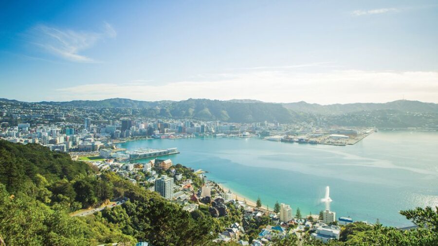 Wellington: Scenic Harbour Helicopter Flight - Exploring Wellington’s Tectonic Landscape