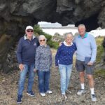 Wellington Shore Excursion: From Cave to Coast Highlights Private Tour - Scenic Overlooks and Cultural Stops