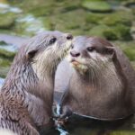 Wellington Zoo General Entry Tickets - Key Points