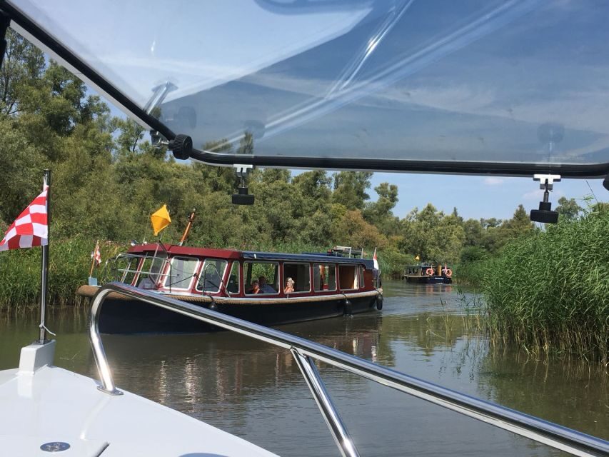 Werkendam: Boat Cruise and Biesbosch Museum Entry Ticket - A Deep Dive into the Werkendam Boat Cruise and Museum Experience