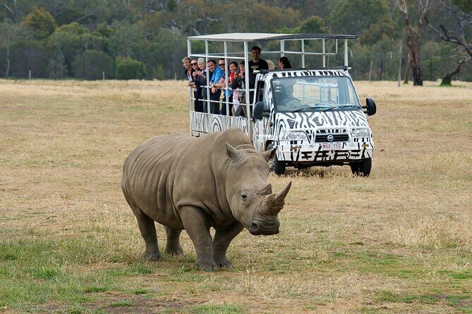 Werribee Zoo & Werribee Mansion Tour - A Detailed Look at the Tour Experience