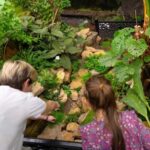 West Berkshire,UK: The Living Rainforest Centre Entry Ticket - FAQs