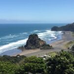 West Coast Discovery Piha Beach Private Tour - Detailed Breakdown of the Itinerary