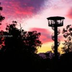 West Coast Tree Top Walk Experience - FAQ about the West Coast Treetop Walk Experience