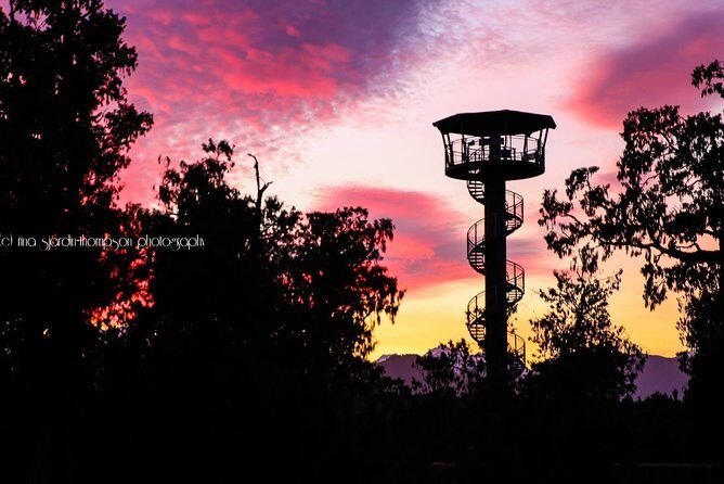 West Coast Tree Top Walk Experience - FAQ about the West Coast Treetop Walk Experience