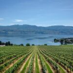 West Kelowna Full Day Lunch Wine Tour-Incl Tastings & Guide Grat - Practical Details and What to Expect