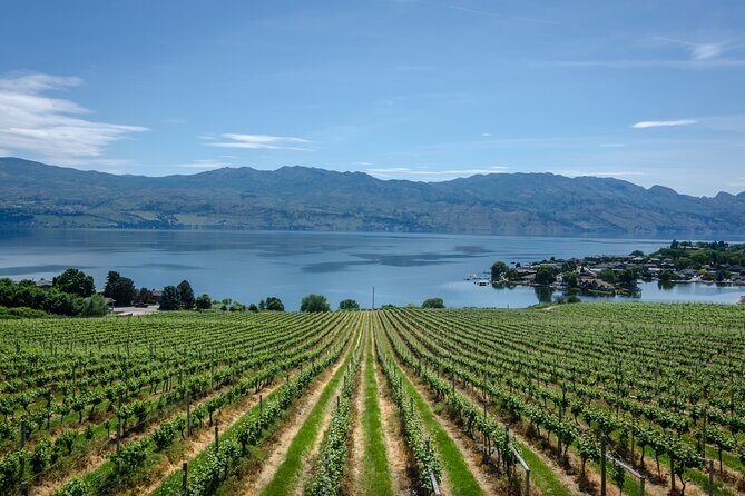 West Kelowna Full Day Lunch Wine Tour-Incl Tastings & Guide Grat - Practical Details and What to Expect