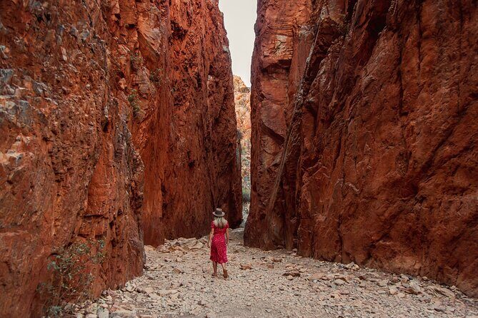 West MacDonnell Ranges & Standley Chasm Day Trip from Alice Springs - The Transportation and Group Experience