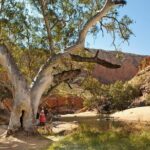 West MacDonnell Ranges Tour from Alice Springs - What the Tour Includes and What to Keep in Mind